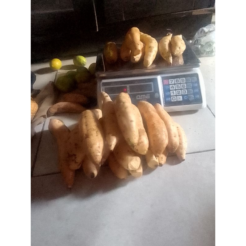 

ubi Cilembu si madu BRT 7kg