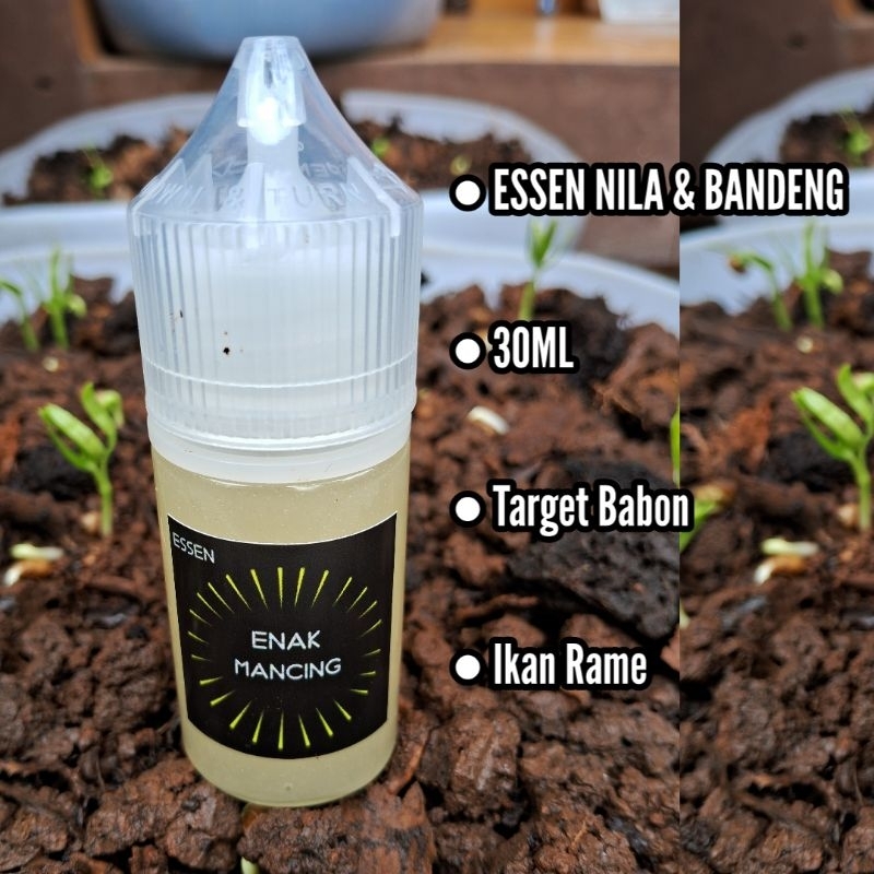 Essen Enak Mancing Nila, Bandeng, Lele