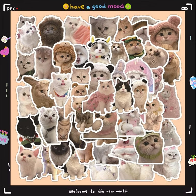 

20 pcs Sticker Motif Kucing