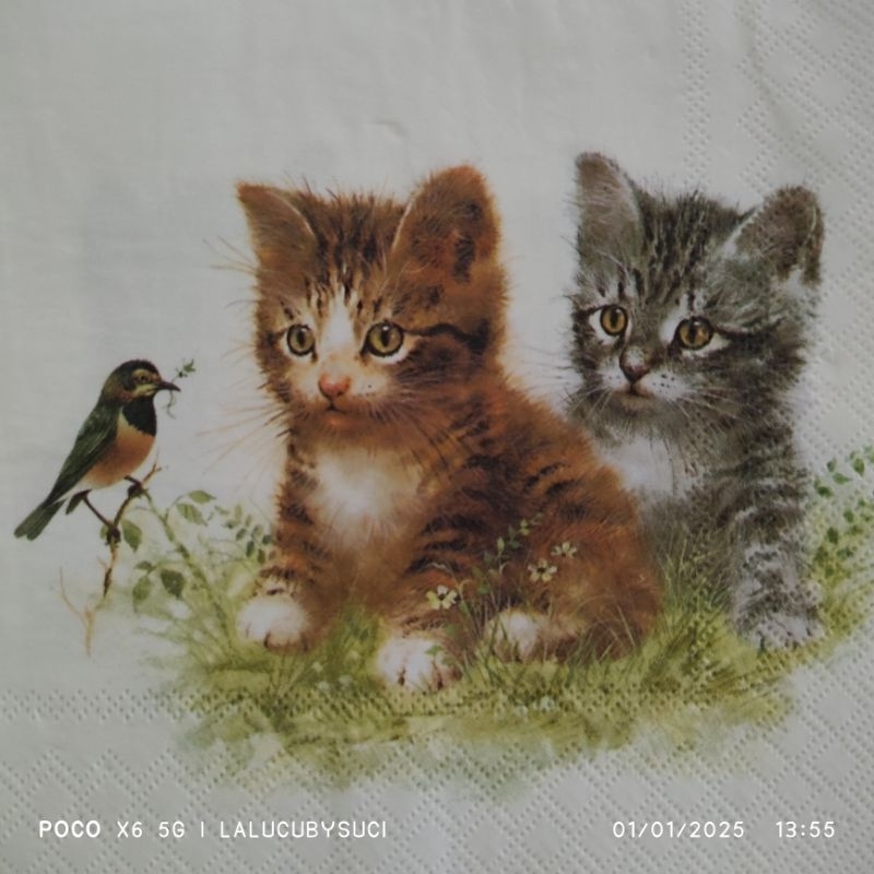 

TISU DECOUPAGE KUCING 2