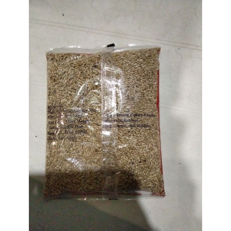 KORONA KENARI SEED CORONA CANARY SEED BERSIH TANPA CAMPURAN