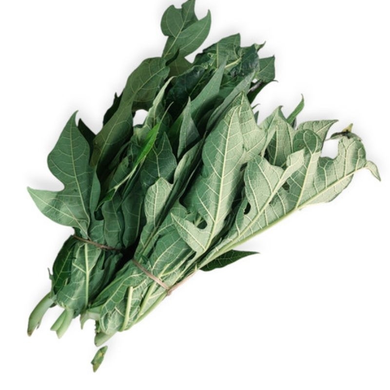 

Daun pepaya/daun pepaya sayur/daun pepaya lalapan segar per 1 iket