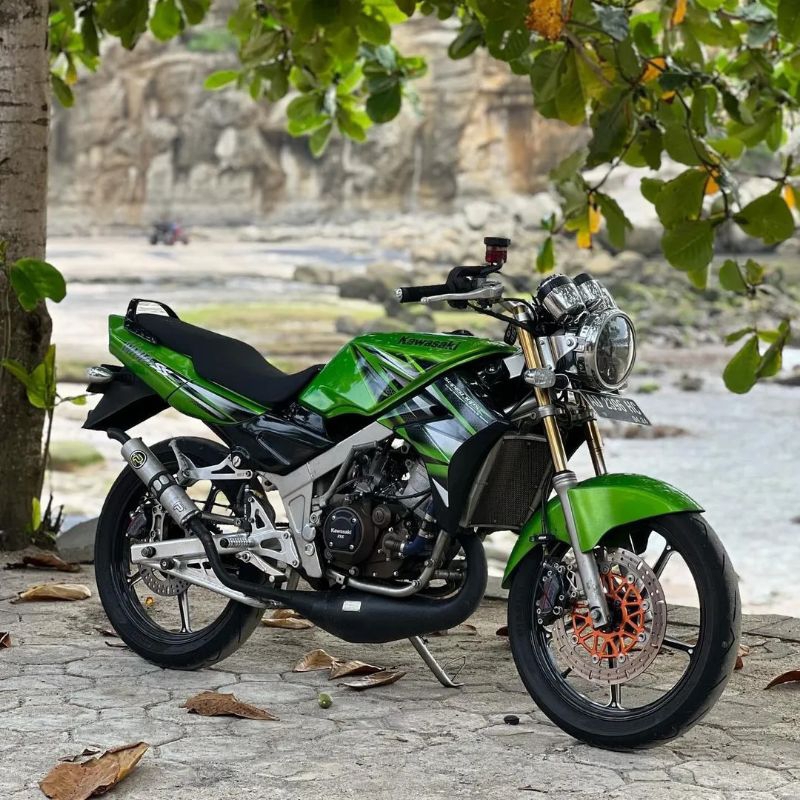 Knalpot Ninja R SS Type Cobra Plat Black Doff Pekajaman Muffler