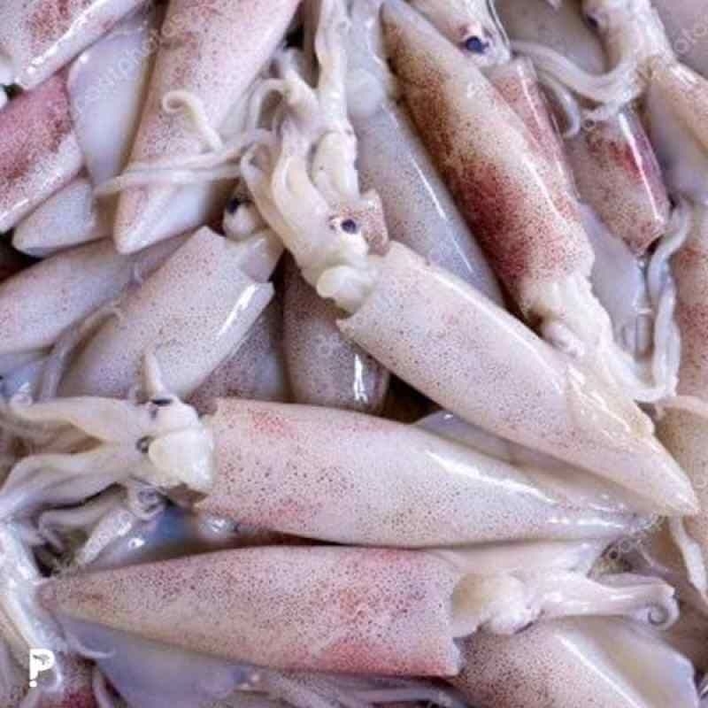 

Ikan Asin Cumi Sotong 250 Gram 500 Gram 1 Kg