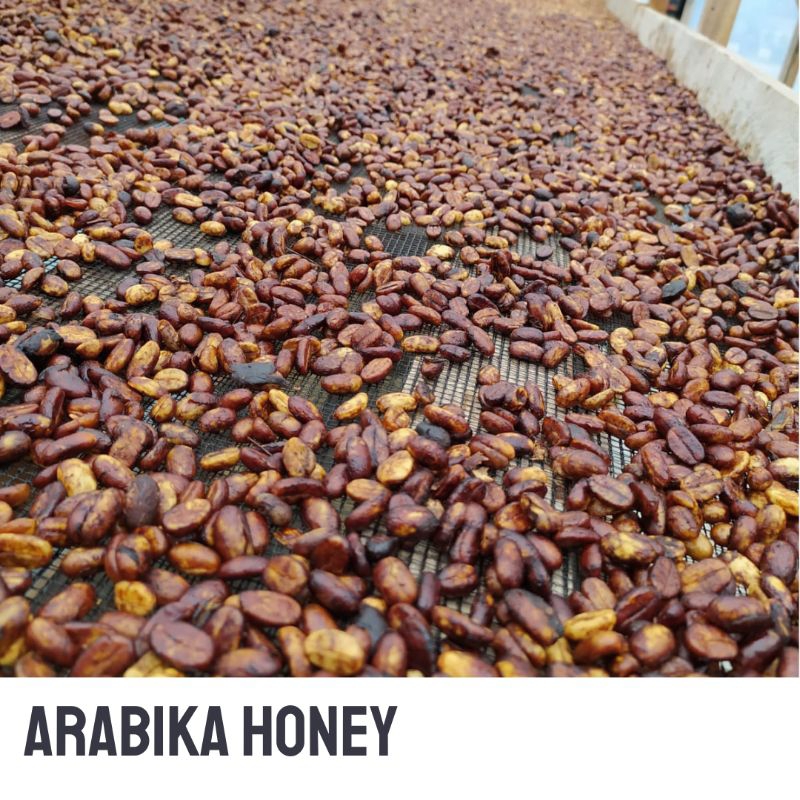 

Green bean Arabika Gayo, Honey Process, 1 kg