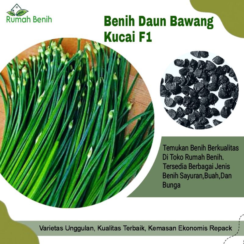 Benih Daun Bawang Kucai Nien Hwa F1 / Bibit Benih Kucai / Biji Benih Kucai F1 / Benih Sayuran / Bibi