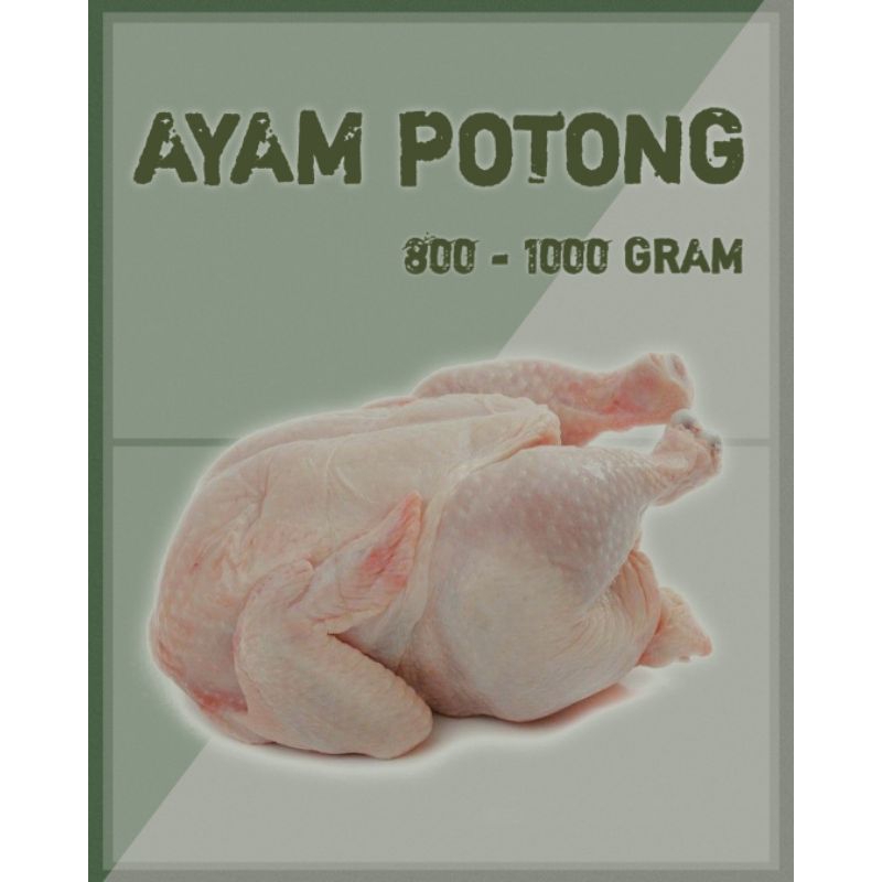 

AYAM POTONG MURAH