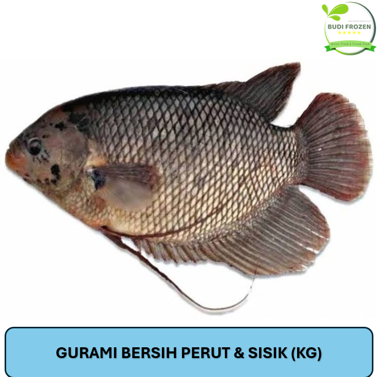 

GURAMI / GURAME / IKAN GURAMI BERSIH PERUT DAN SISIK (DITIMBANG LAGI) HARGA PER KG