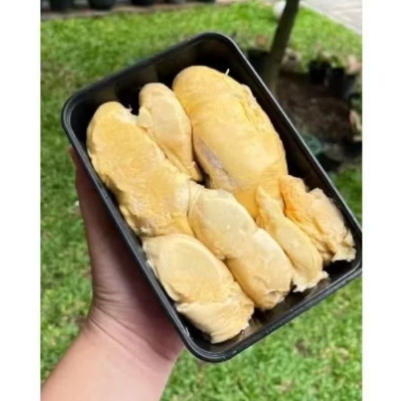 

INSTAN DURIAN KUPAS 500 GR di jamin maniss