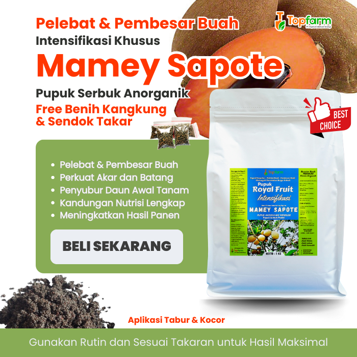 Pupuk Sawo Mamey Sapote / Pupuk Mamey Sapote Berbunga / Pupuk Booster Mamey Sapote Cepat Berbuah