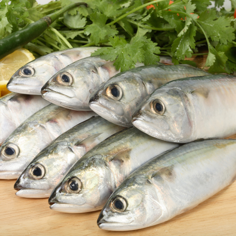 

Ikan Lele / Ikan Kembung / Ikan Nila Merah / Ikan Tongkol / Ikan Selar / Ikan Mas
