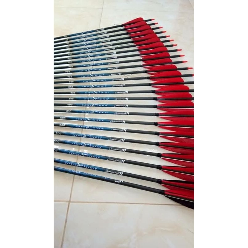 Anak panah Carbon predator