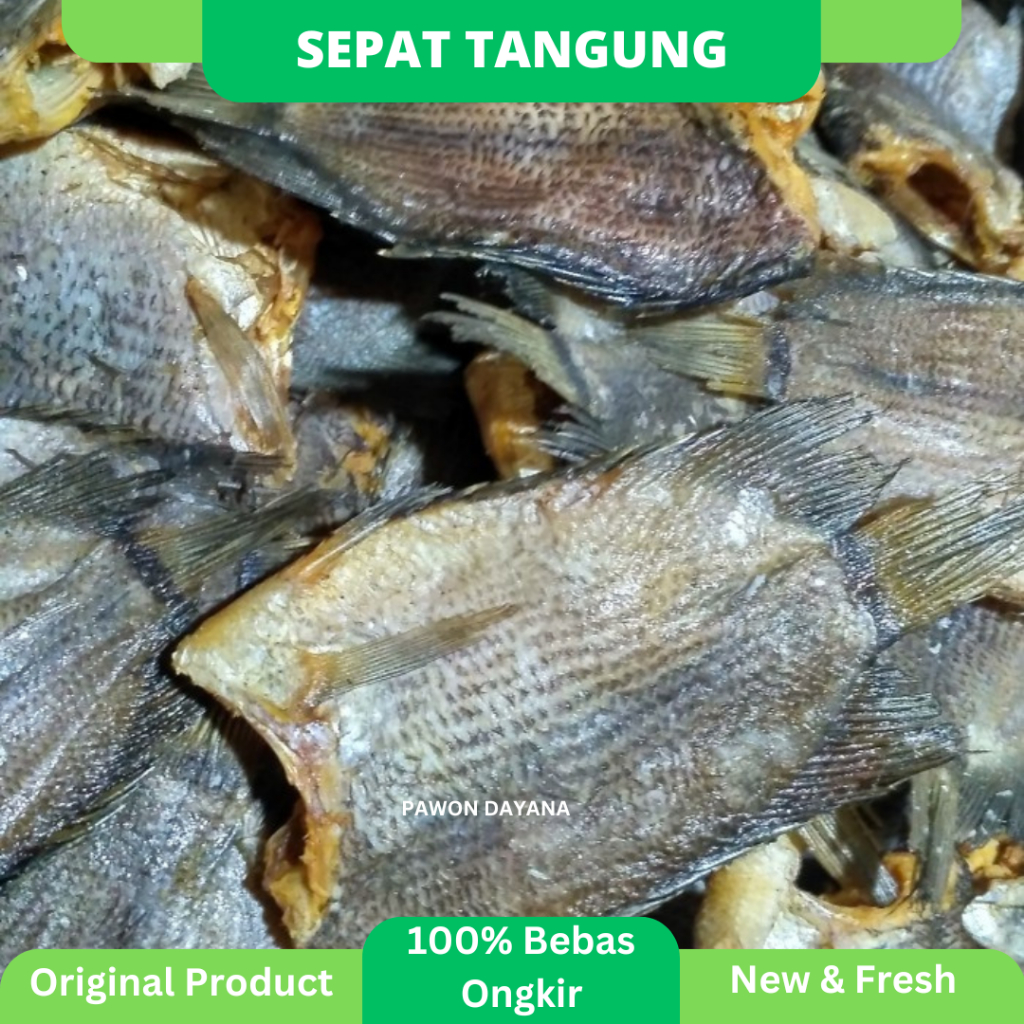 

Ikan Asin Sepat Tanggung / Ikan Asin Sepat Siam Super / Ikan Sepat Asin / Ikan Asin Tembakang