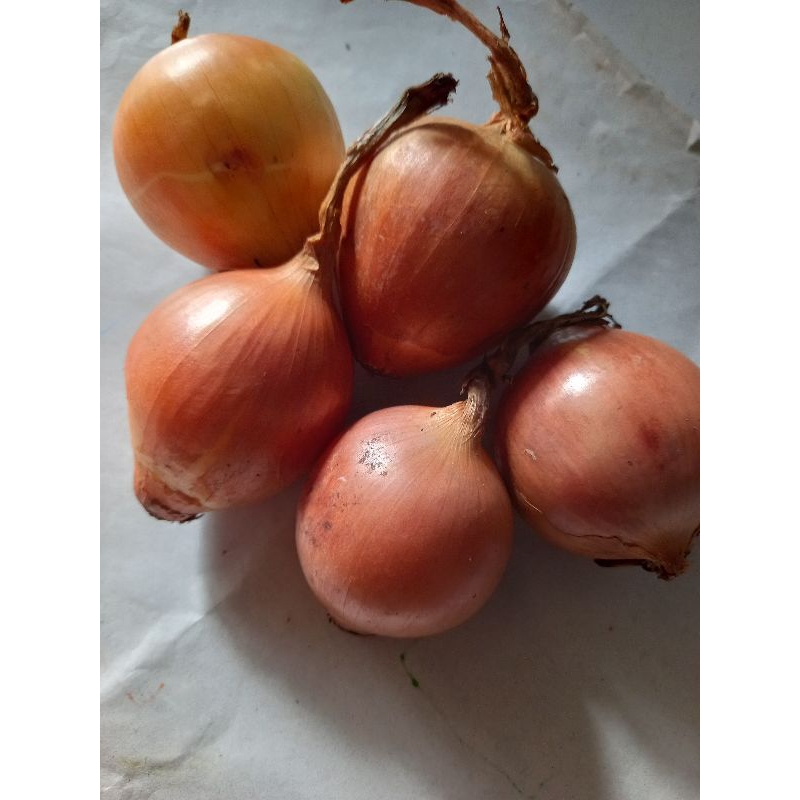 

Bawang Bombay