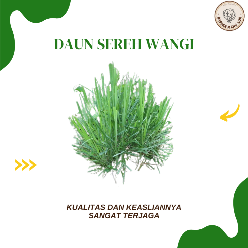 

EKSTRAK DAUN SEREH WANGI BEST SELLER