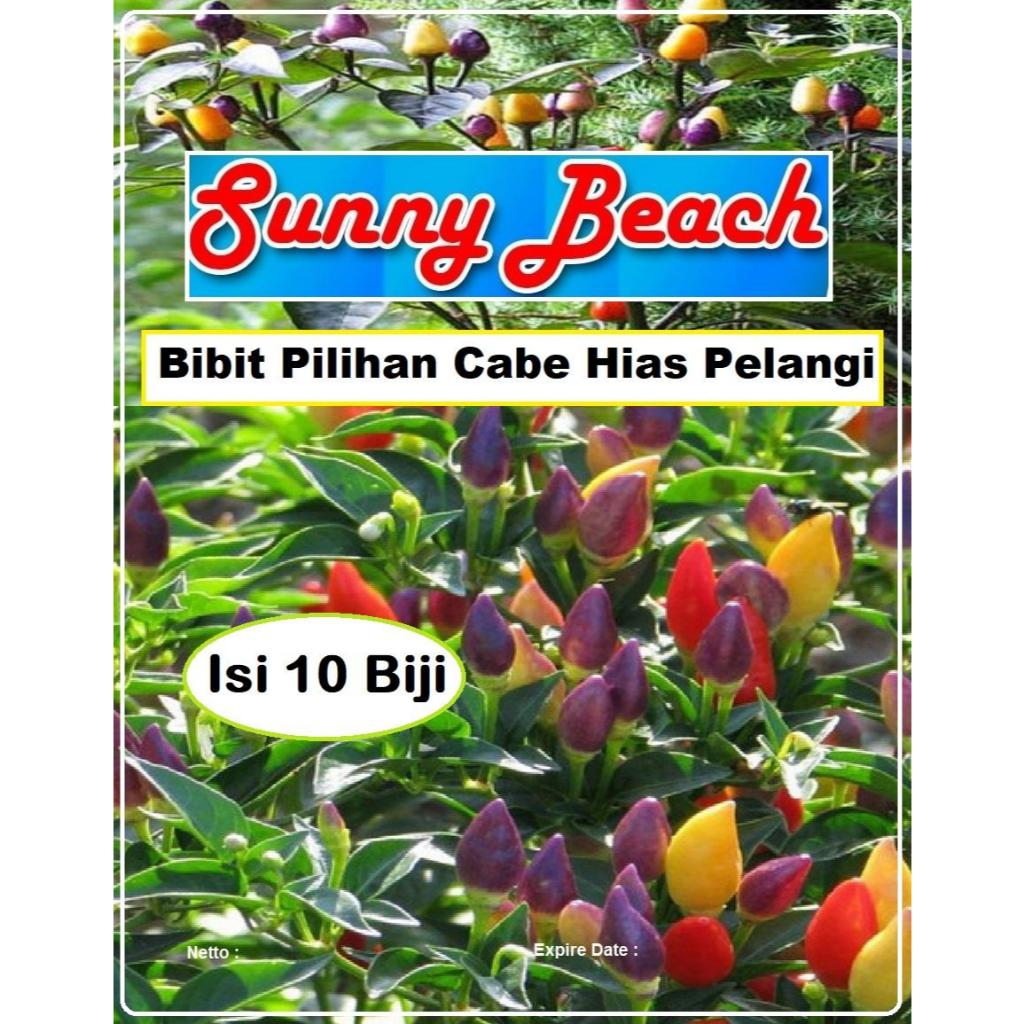 Bibit Pilihan Cabe Hias Pelangi | Biji Benih Cabe Pelangi | Cabe Rainbow
