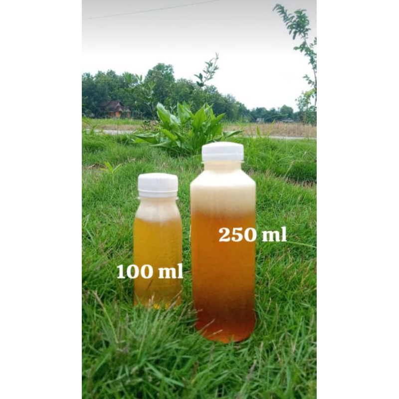 

Madu Murni asli dari hutan 100ml-250ml