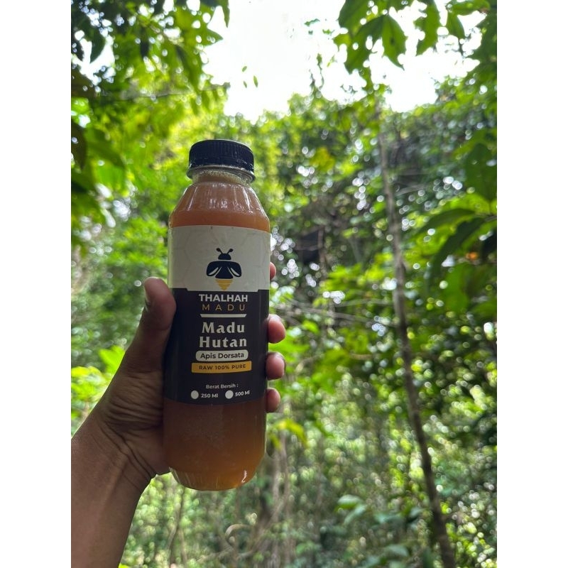 

Madu Hutan Sulawesi (Apis Dorsata)