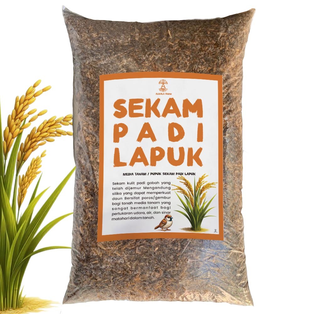 Sekam Fermentasi/Sekam Lapuk Sekam Original Untuk Media Tanam