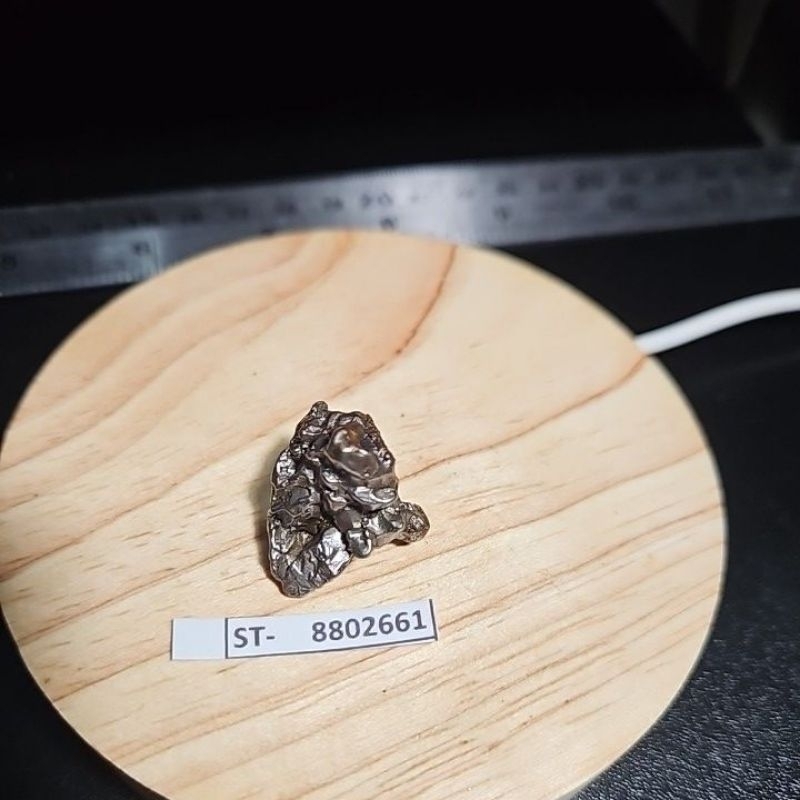 Campo del Cielo Iron Meteorite asli Gran Chaco Gualamba, Argentina
