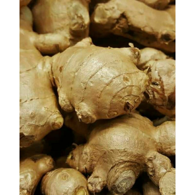 

jahe putih/merah basah segar 500 gr