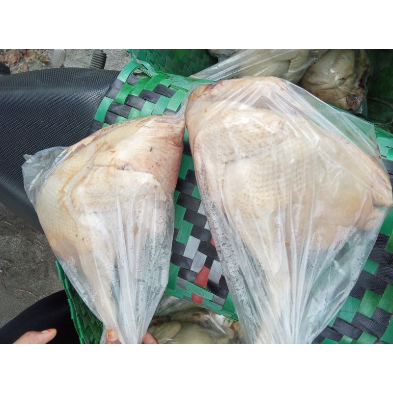 

ayam merah Frozen