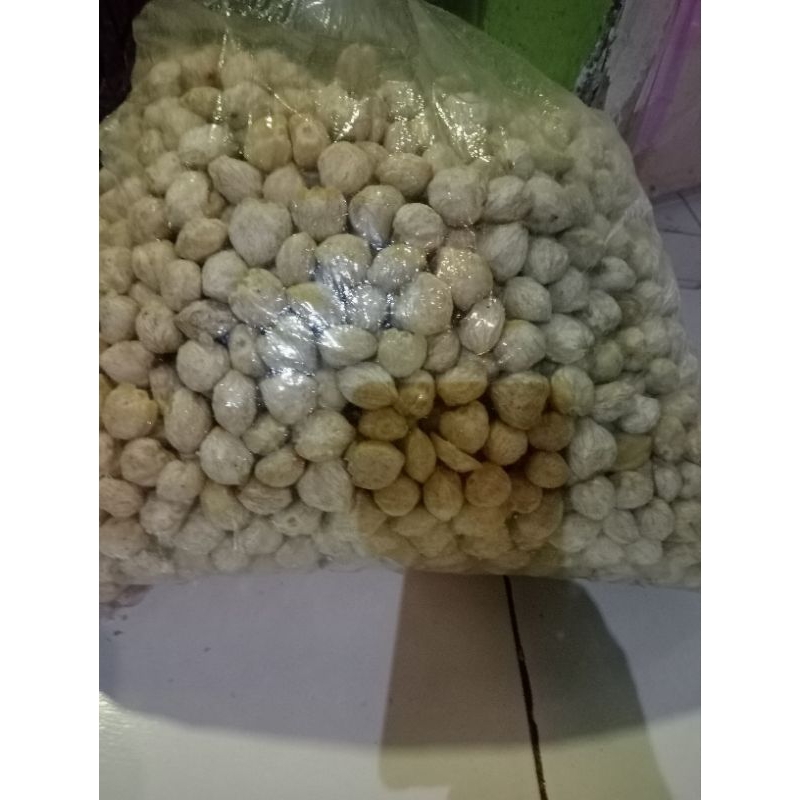 

kemiri bulat super utuh ukuran 500 gram