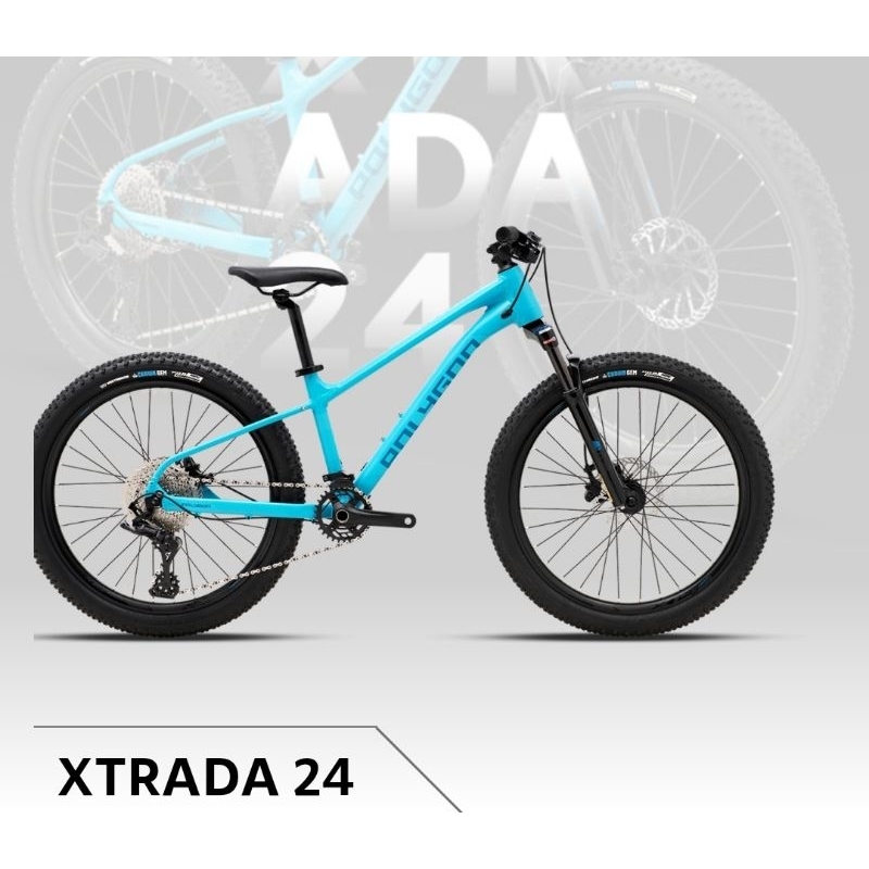 Sepeda MTB 24 INCH POLYGON XTRADA Sepeda Gunung Remaja Dewasa