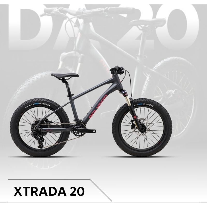 Sepeda MTB 20 inch  POLYGON XTRADA 20 sepeda anak remaja premium