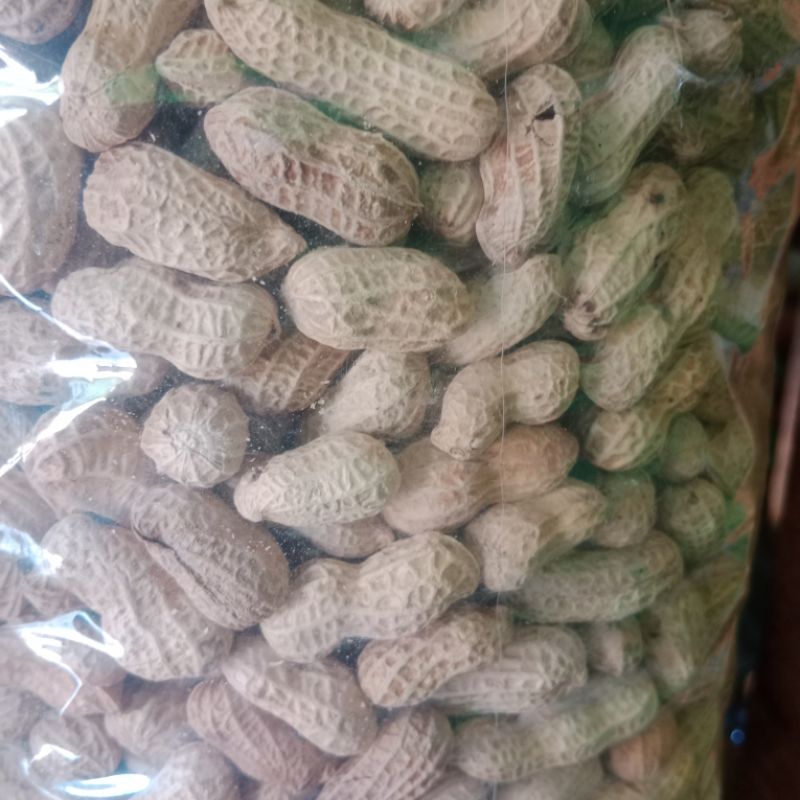 

Kacang kulit garing gurih 1 kg