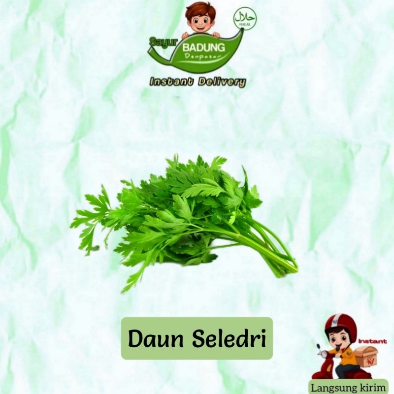 

Daun Seledri 20gr _ Badung
