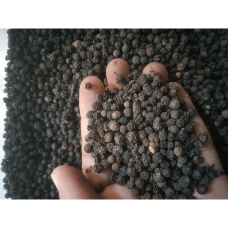 

Merica hitam asli 100 gr, lada hitam, black pepper