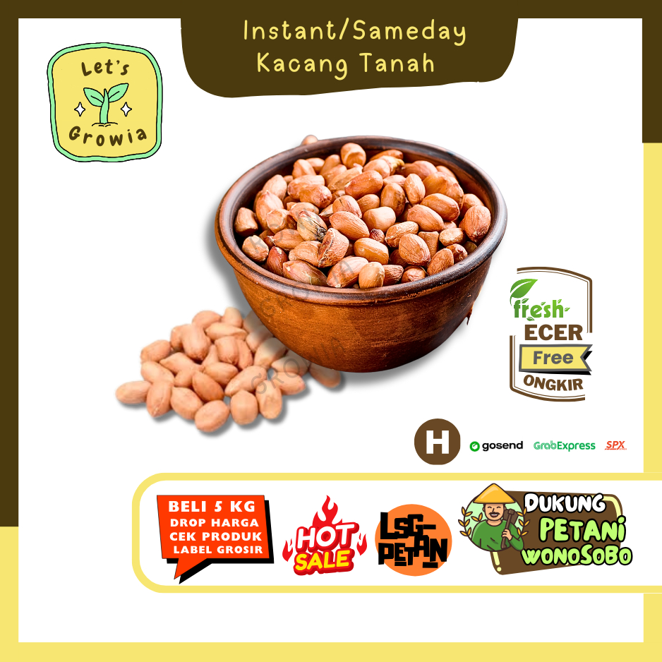 

Growia || Kacang Tanah(H) || Hasil Petani Langsung Ecer (H)0