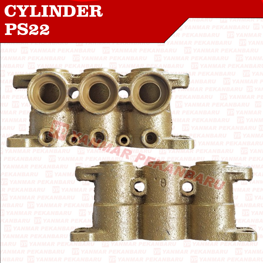 PS22 PS 22 Cylinder Blok Power Sprayer Sanchin China PS 20 PS 20