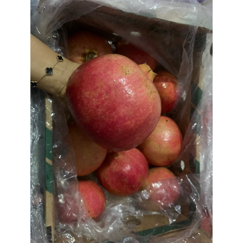 

BUAH DELIMA SUPER PER 1 PCSNYA
