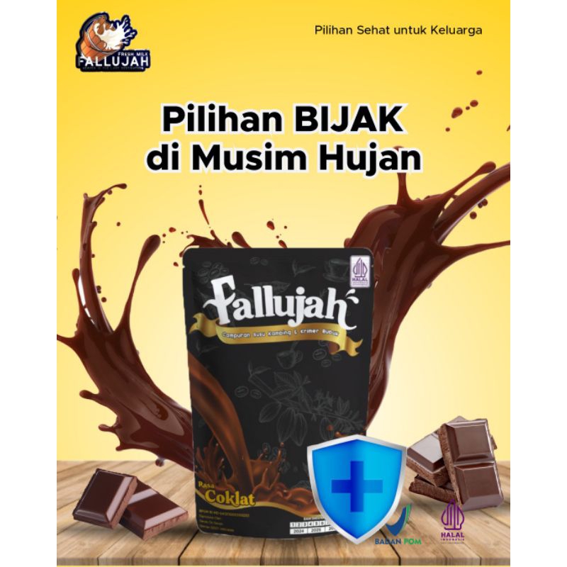 

Fallujah Susu Kambing Etawa varian Coklat