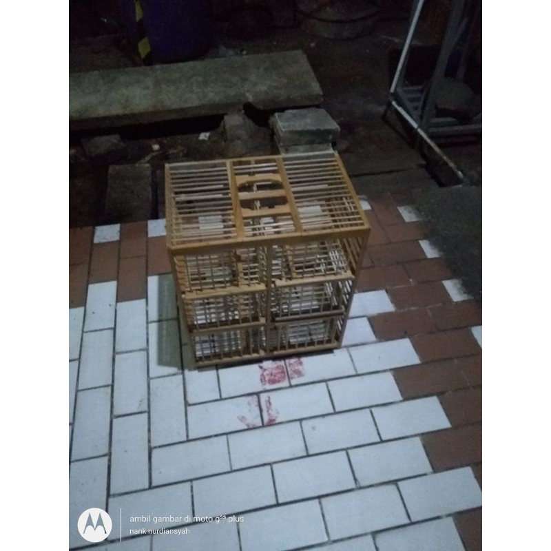 (khusus cargo)sangkar kandang dondang dara lepas kayu jati pintu 6