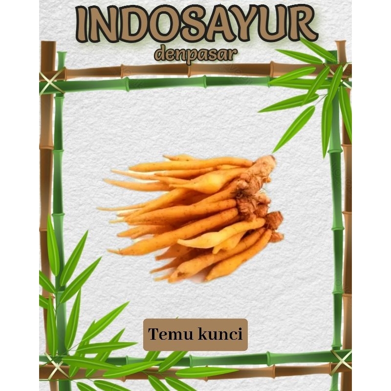 

Temu kunci _ INDOSAYUR