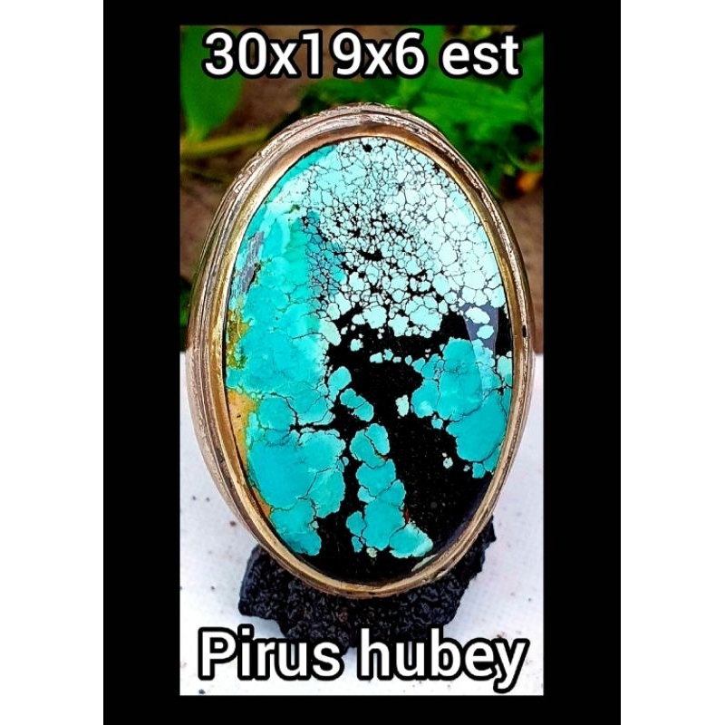 Pirus hubei dwi warna ceplok kuro HQ size jumbo