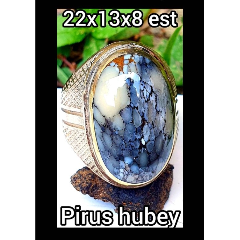 Pirus Hubei putih ceplok kuro HQ