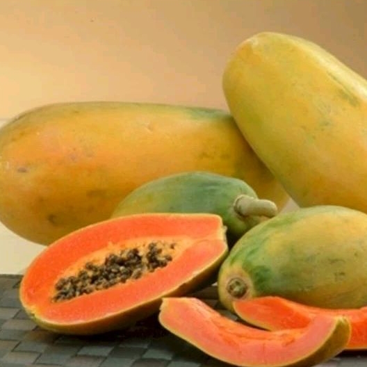 

Buah pepaya California dan pepaya thailand bangkok fresh segar manis matang dan mentah