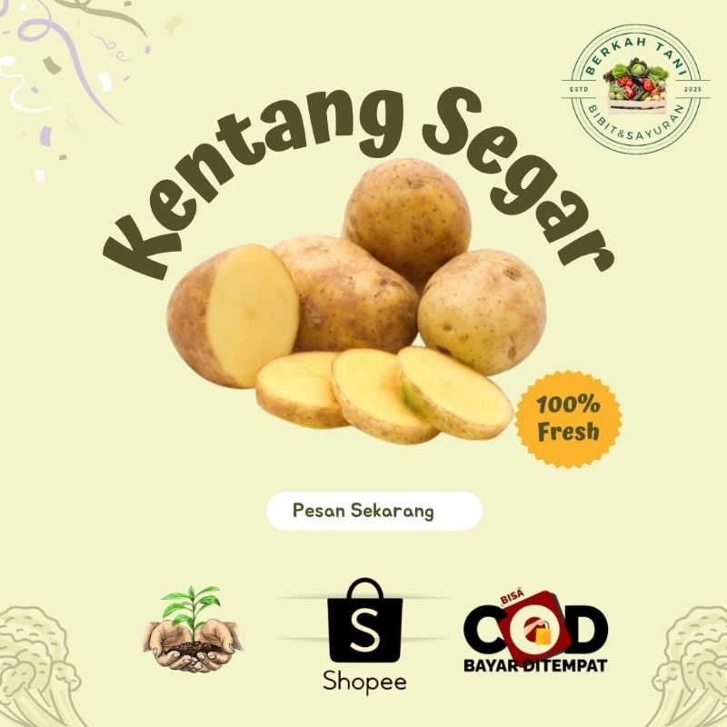 

BERKAH_TANI Kentang Lereng Lawu Fresh