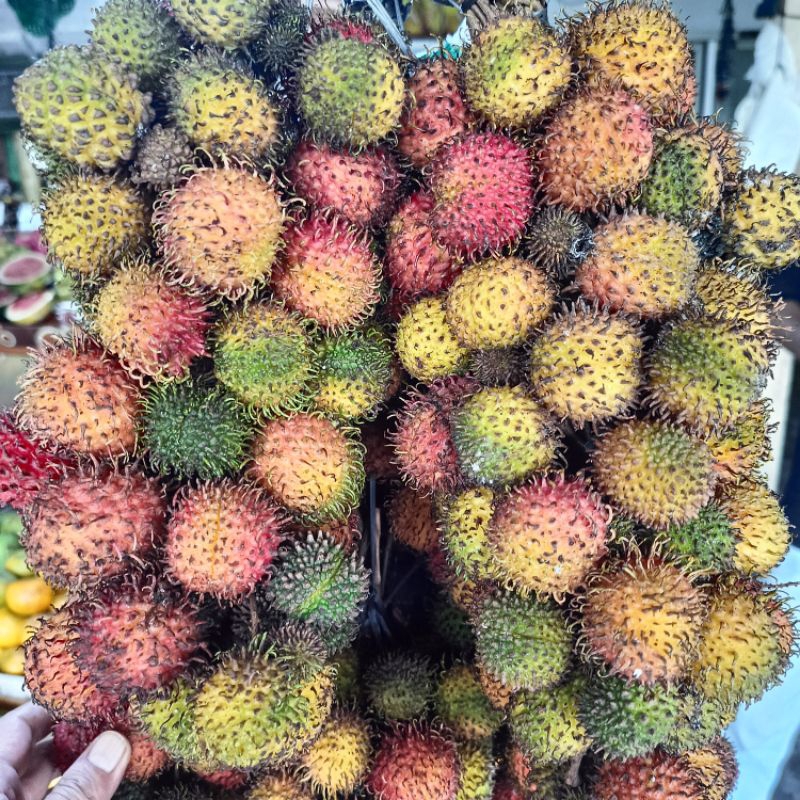 

Rambutan Rapiah 1kg Buah Segar Ibaza fruitsBOX