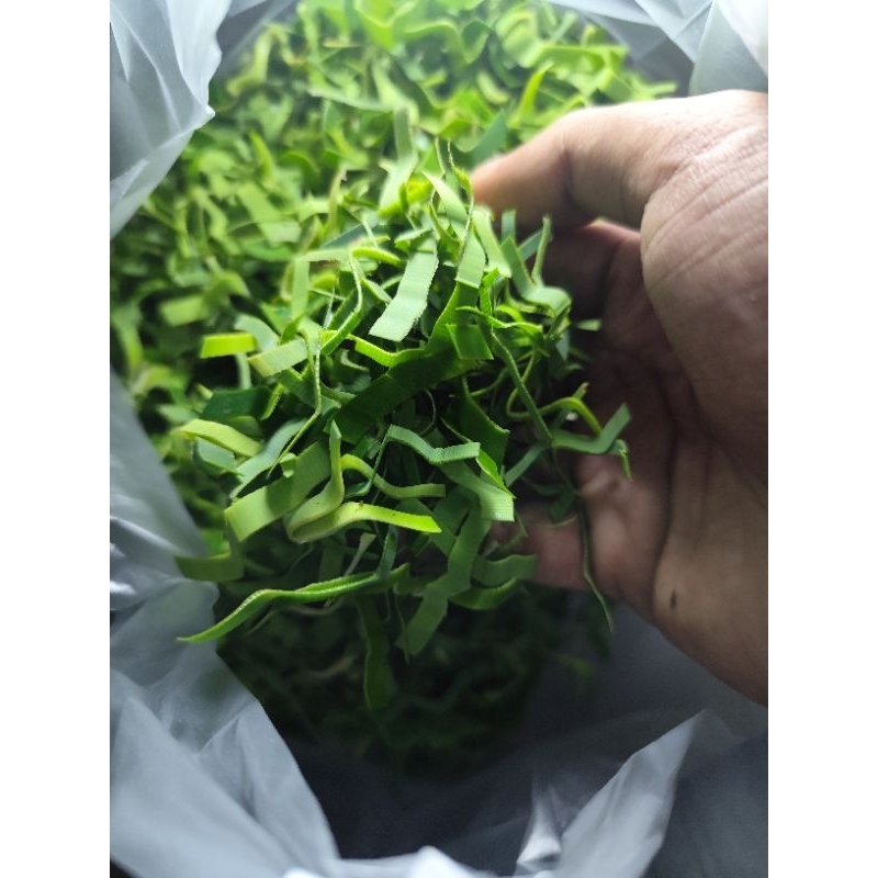 

Pandan Iris fresh Harumm 200 gram