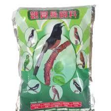 Topsong coklat kuning voer pur murai kacer jalak