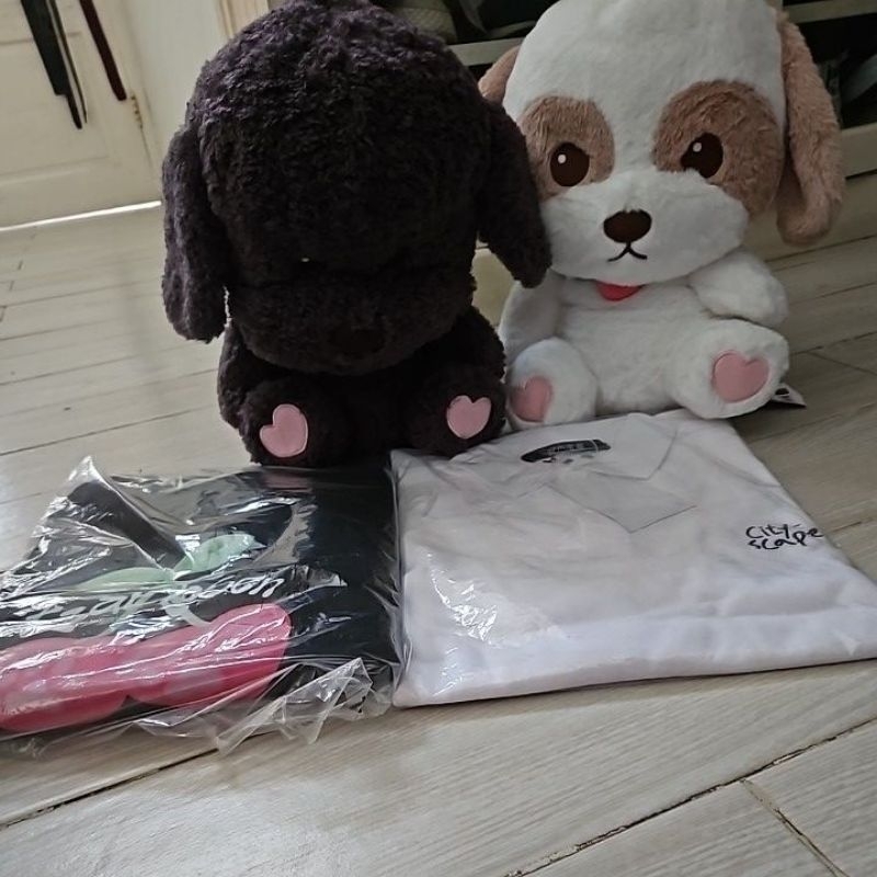 EXO chanyeol hoodie sweat polo shirt toben zzar voice doll 40cm only no pc official md black out cit
