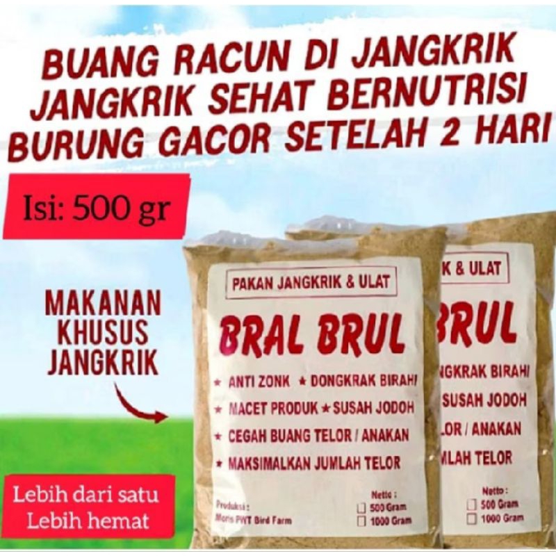 BRAL BRUL PAKAN BURUNG MURAI PAKAN BURUNG KACER INDUKAN MORRIS PAKAN NUTRISI BURUNG