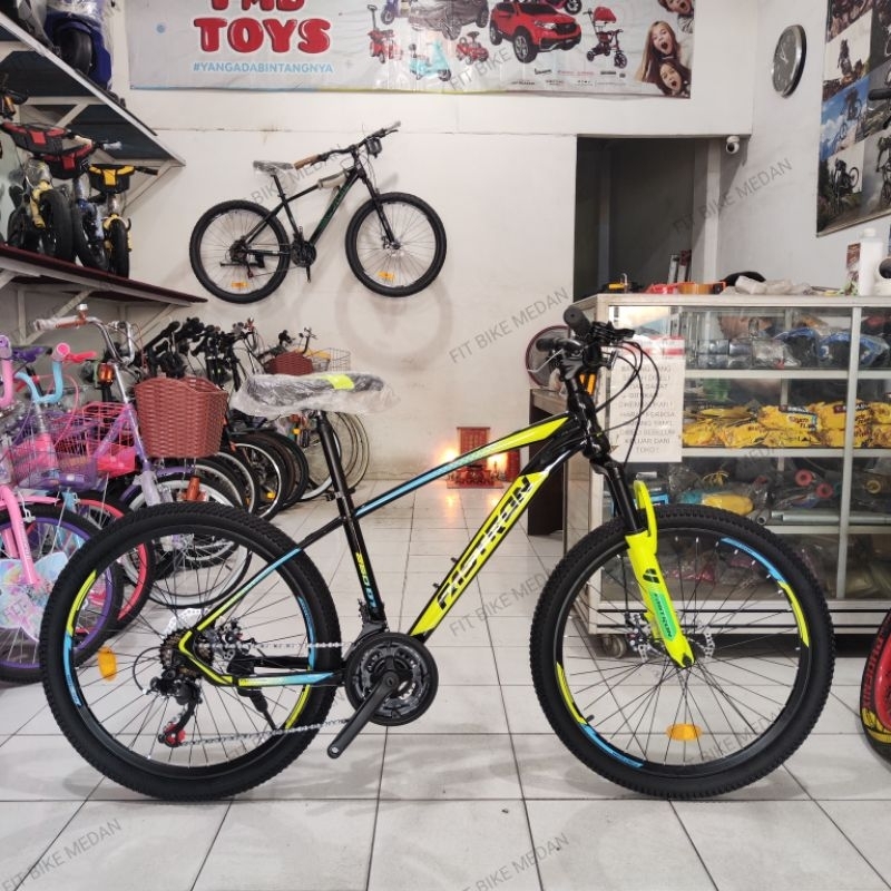 SEPEDA GUNUNG MTB 24 INCI FASTRON 260 DT / 260 DX REMAJA - DEWASA