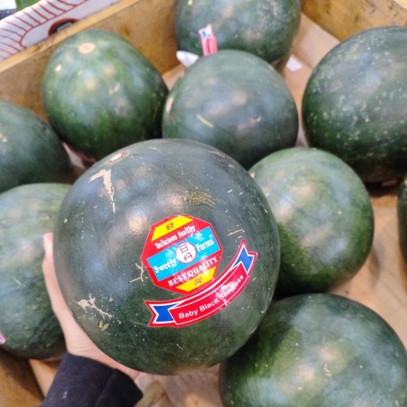 

Semangka Baby Black 1 Kg