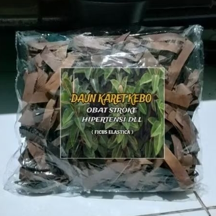 

DAUN KARET KEBO KERING SIAP SEDUH 100% HERBAL ALAMI FICUS ELASTICA (Isi 20 Gram)